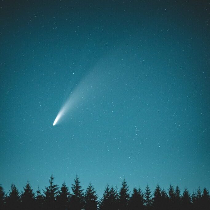 comet across night sky above line of trees