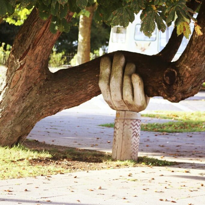 wooden hand scultpture holding up large tree branch for support